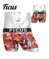 フィークス FICUS メンズ ボクサーパンツ 【メール便】OUTLET SALE_F cts